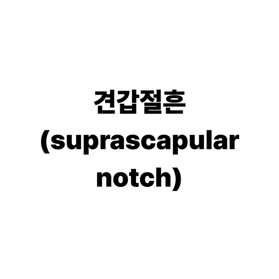 견갑절흔