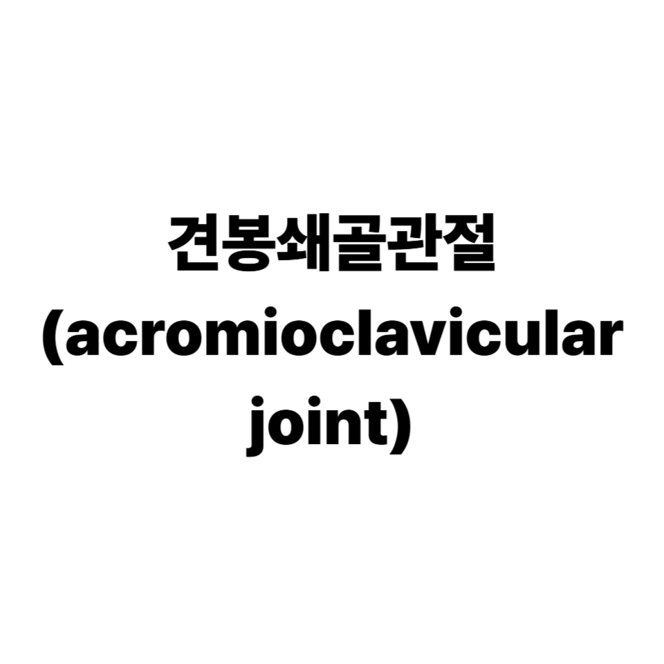 견봉쇄골관절